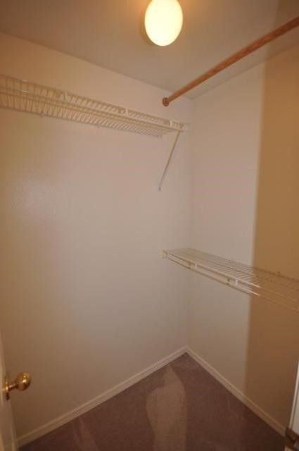 3651 S Gekeler Ln-Unit -99 in Boise, ID - Building Photo - Building Photo