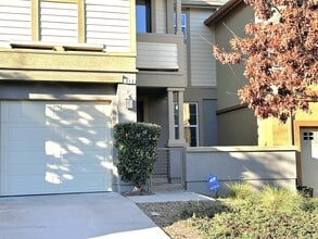 313 Jacquelyn Ln in Petaluma, CA - Building Photo - Building Photo