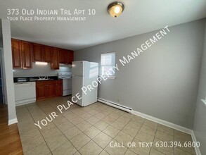 373 Old Indian Trail in Aurora, IL - Building Photo - Building Photo