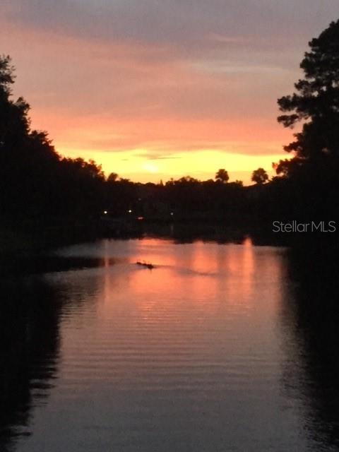 18022 Cozumel Isle Dr in Tampa, FL - Building Photo - Building Photo