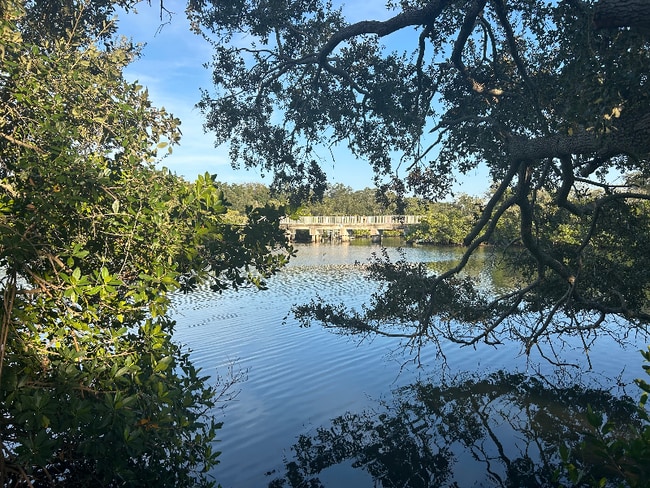 1815 Apache Trail in Clearwater, FL - Building Photo - Building Photo