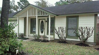 21314 Greenham Dr in Spring, TX - Building Photo