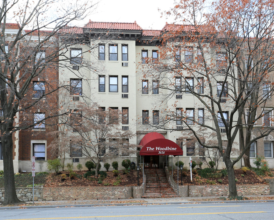 The Woodbine in Washington, DC - Building Photo