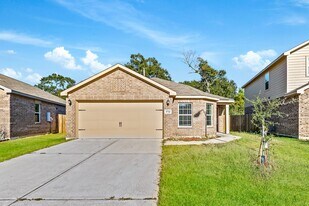 20742 Nala Bear Dr in Hockley, TX - Building Photo