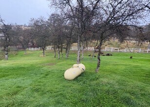 13600 Pino Ct in La Grange, CA - Building Photo - Building Photo