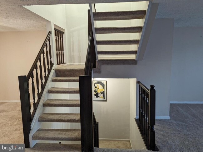 9119 Aspenpark Ct in Lorton, VA - Building Photo - Building Photo