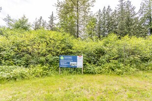 1358 Coast Meridian Rd in Coquitlam, BC - Building Photo