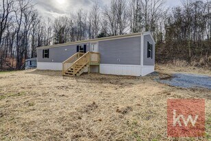 119 Chestnut St in Church Hill, TN - Building Photo