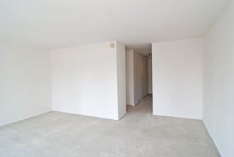 1 E Scott St in Chicago, IL - Building Photo - Building Photo