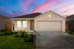 18707 Scopello Dr in New Caney, TX - Building Photo