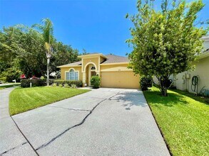 12510 Blazing Star Dr in Tampa, FL - Building Photo - Building Photo