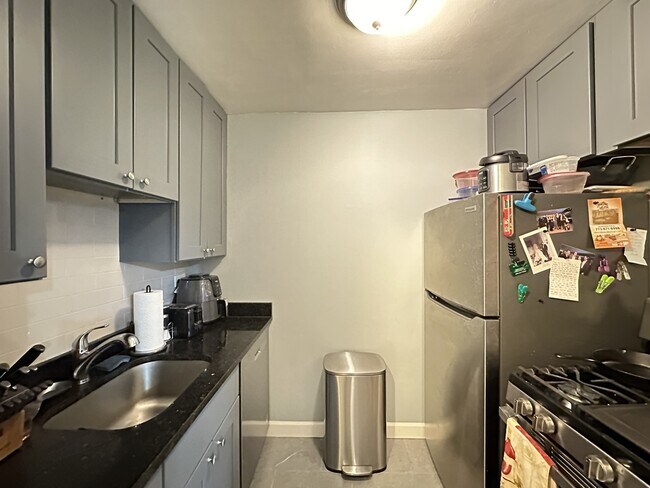 663 W Grace St in Chicago, IL - Building Photo - Building Photo