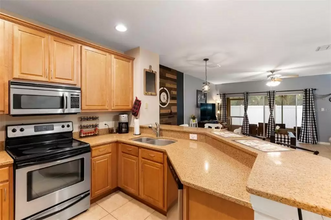 20410 Needletree Dr in Tampa, FL - Building Photo - Building Photo