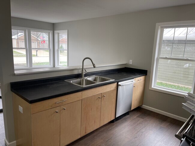 995 Madison Ave in Braidwood, IL - Building Photo - Building Photo