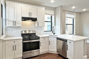 201-209 N. Grove Ave. in Oak Park, IL - Building Photo