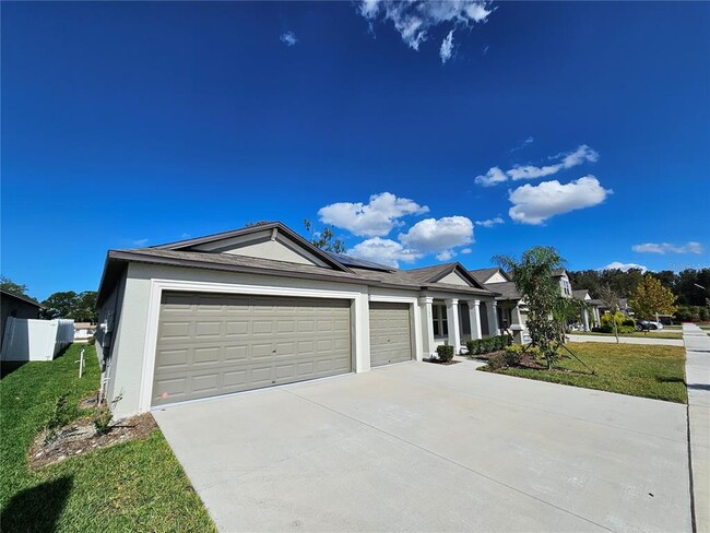 165 Rain Berry Ave in Ruskin, FL - Building Photo - Building Photo