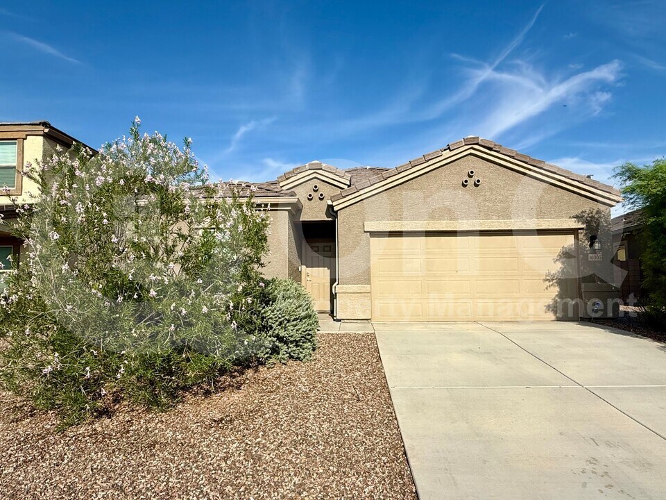 10305 N Arroyo Lupine Way in Marana, AZ - Building Photo