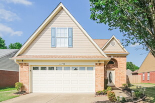 10738 Pecan View Dr in Olive Branch, MS - Building Photo