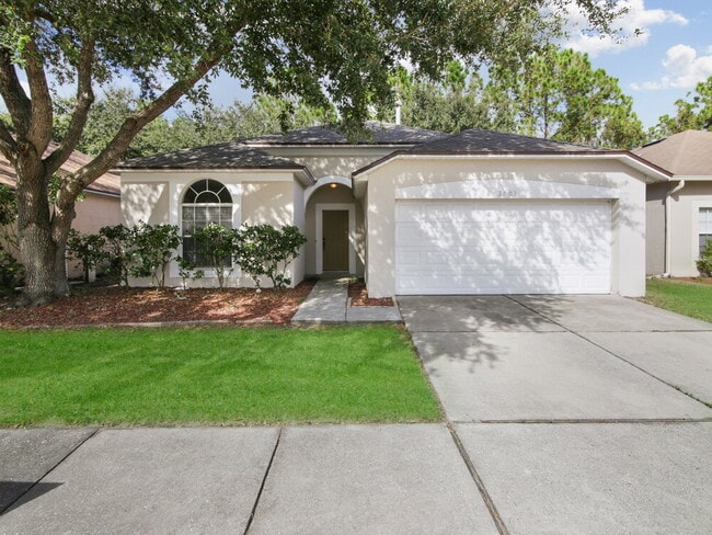 property at 3703 Cinnamon Fern Loop