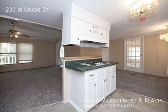 230 W Union St in Hillsborough, NC - Building Photo - Building Photo