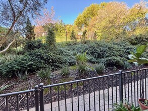 2406 Torrey Pines Rd in La Jolla, CA - Building Photo - Building Photo