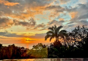 84-5069-5069 Mamalahoa Hwy in Honaunau, HI - Building Photo