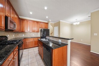 20906 Sunrise Pine View Ln in Katy, TX - Building Photo - Building Photo