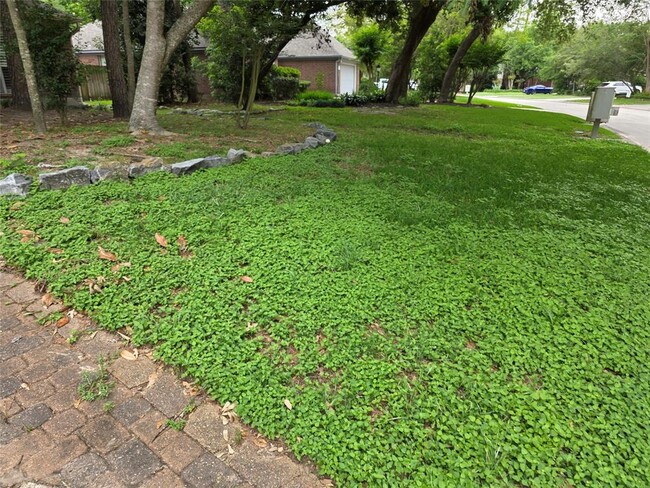 135 N Dreamweaver Cir in Spring, TX - Building Photo - Building Photo
