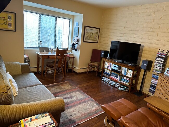 134 Vine St, Unit Hunter Creek in Aspen, CO - Building Photo - Building Photo