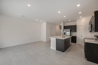 34195 Polacca Ln in Wesley Chapel, FL - Building Photo - Building Photo