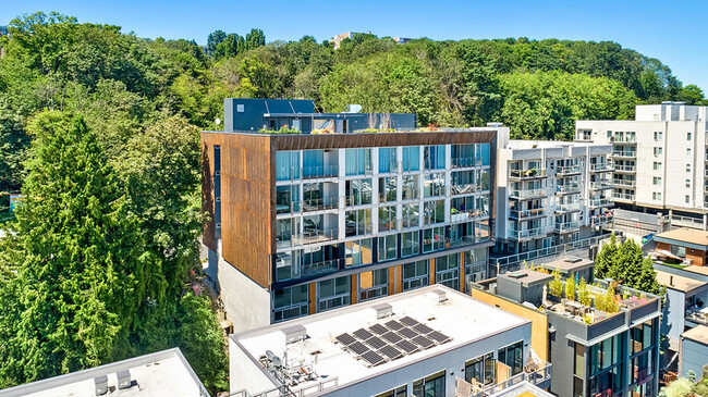 June on South Lake in Seattle, WA - Foto de edificio - Building Photo