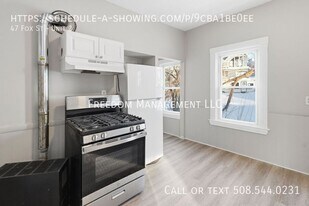 47 Fox St in Worcester, MA - Building Photo