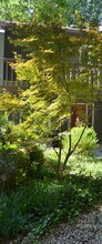 4319 Sunscape Ln in Raleigh, NC - Foto de edificio - Building Photo