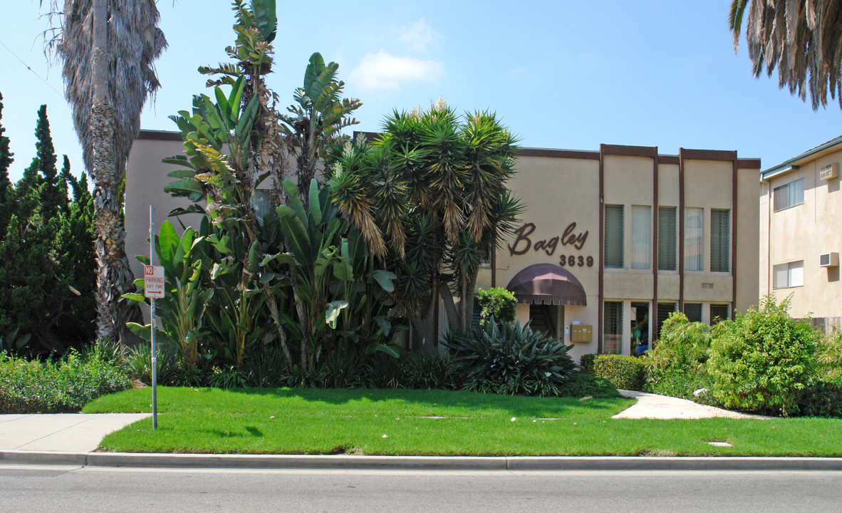 3639 Bagley Ave in Los Angeles, CA - Foto de edificio