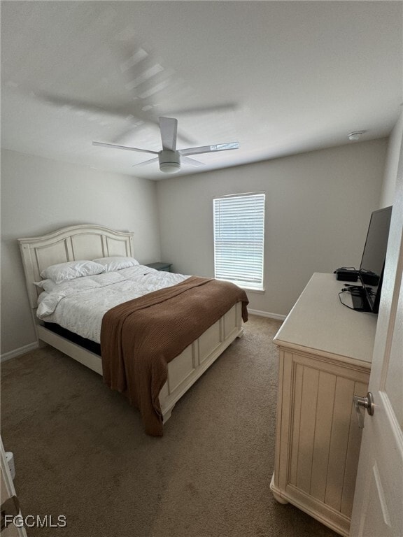 property at 12123 Mahogany Cove St