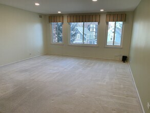 110 S Dunton Ave, Unit 3C in Arlington Heights, IL - Building Photo - Building Photo