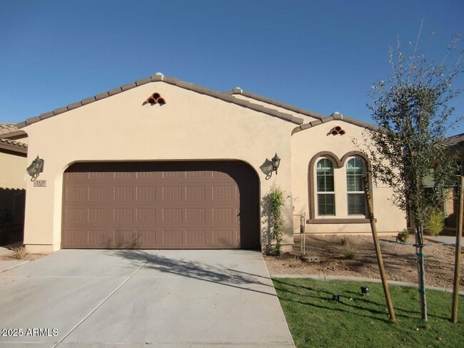 3535 S Jasmine Dr in Chandler, AZ - Building Photo - Building Photo