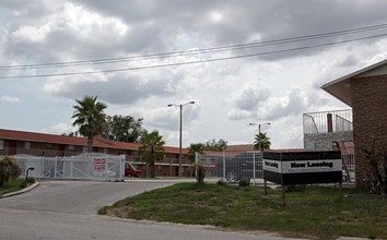 Pebblewood Apartments in Tampa, FL - Building Photo - Building Photo