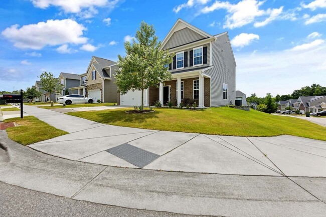 property at 3525 Cashew Dr