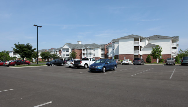 The Meadows at Brier Creek in Morrisville, NC - Building Photo - Building Photo