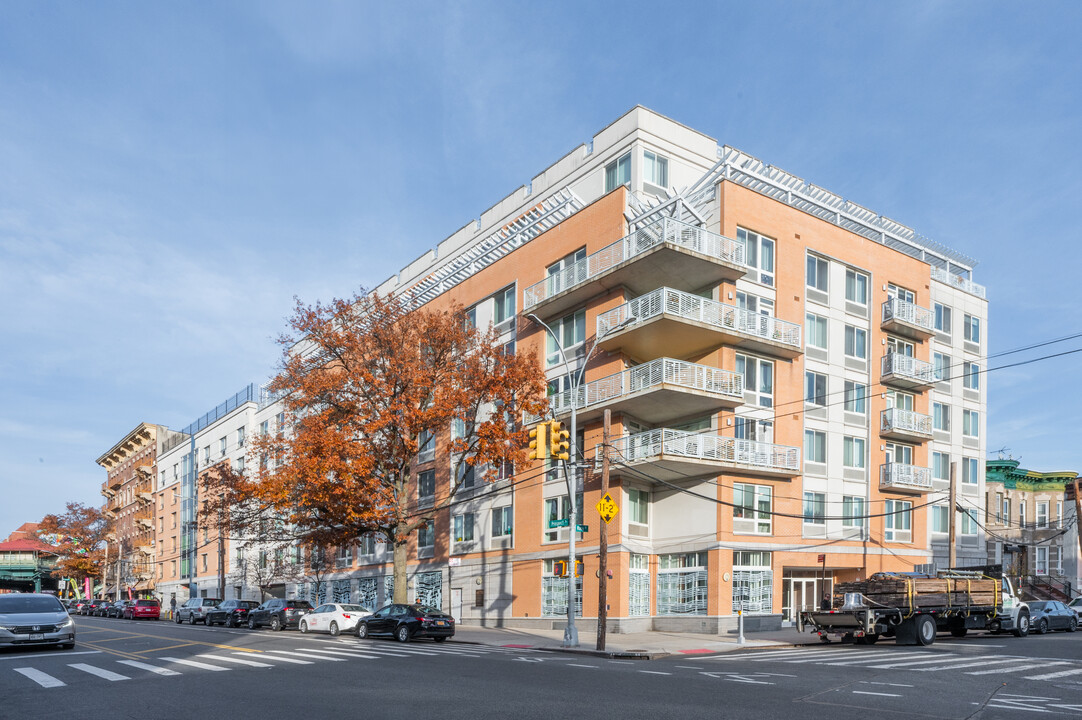 The Melody in Bronx, NY - Foto de edificio