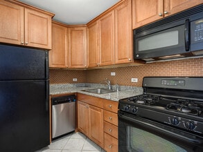 3900 N Pine Grove Ave, Unit 512 in Chicago, IL - Building Photo - Building Photo