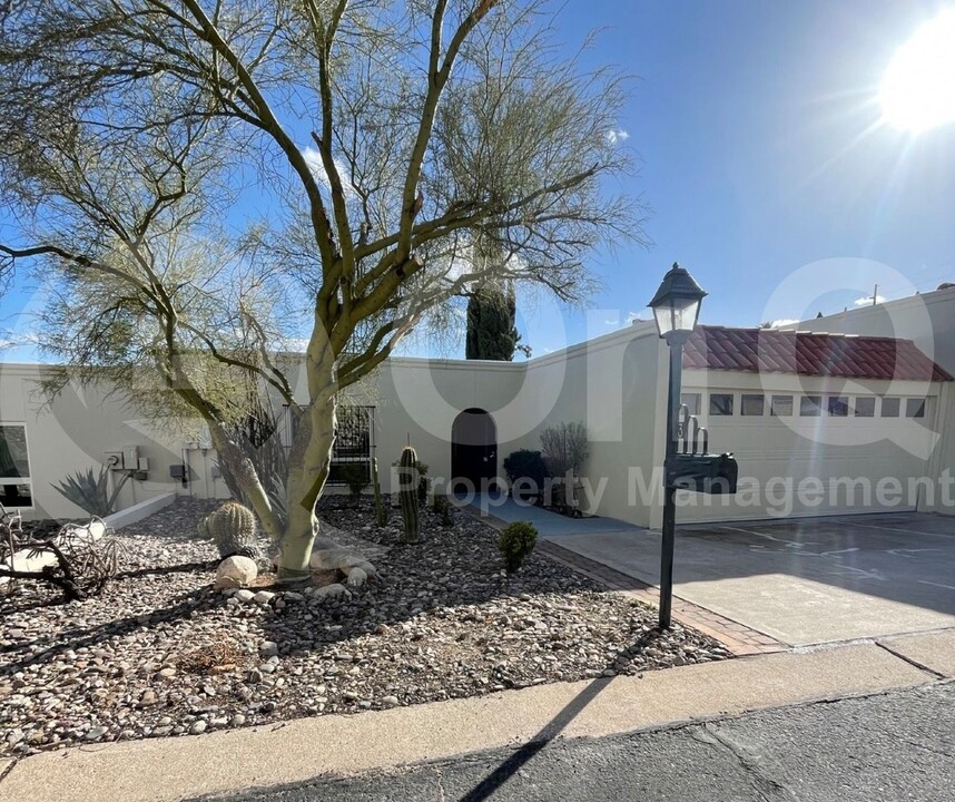 6100 N Oracle Rd in Tucson, AZ - Building Photo