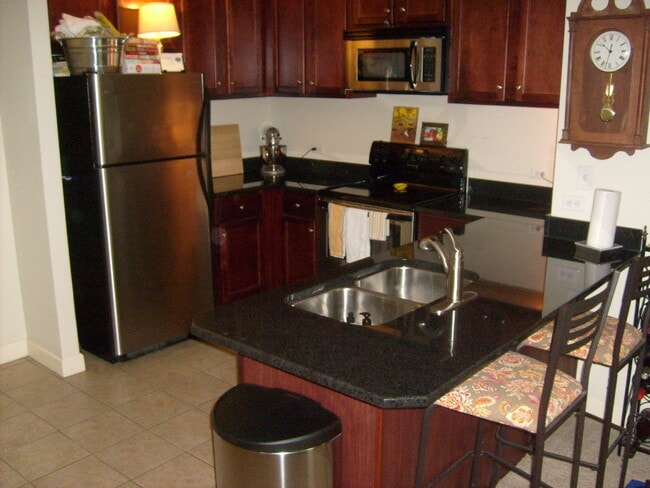1101 Haxall Point in Richmond, VA - Building Photo - Building Photo