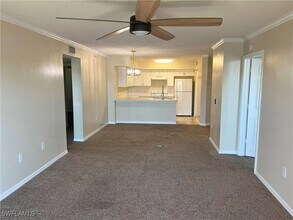 8736 River Homes Lane in Bonita Springs, FL - Foto de edificio - Building Photo