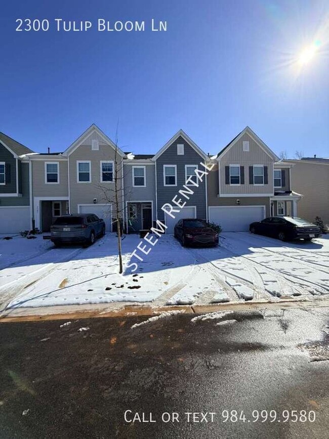 2300 Tulip Bloom Ln in Morrisville, NC - Building Photo - Building Photo