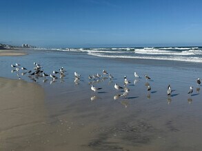 2728 1/2 S Atlantic Ave in Port Orange, FL - Building Photo - Building Photo