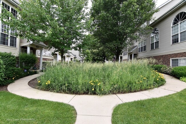 671 Pheasant Trail in St. Charles, IL - Building Photo - Building Photo