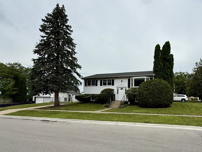 6620 163rd Pl in Tinley Park, IL - Building Photo - Building Photo