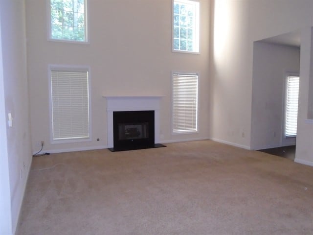 240 Shenandoah Ter in Fayetteville, GA - Building Photo - Building Photo